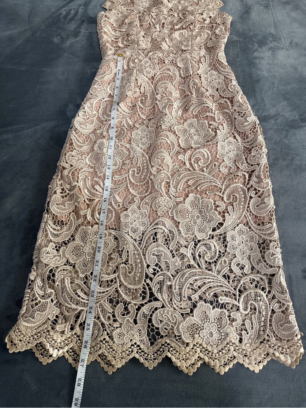 Dress the Population Beige Lace Midi Dress - Picture 8 of 16